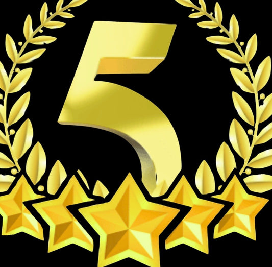 5 star package 12M  (IT support & website maintenance)